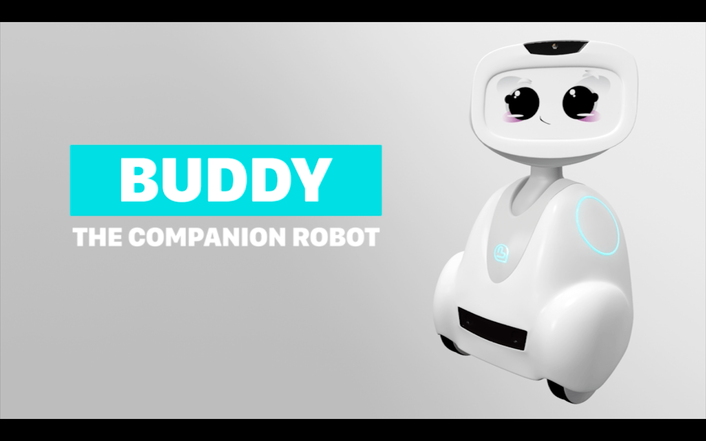 Project Sem 3 – Buddy robot