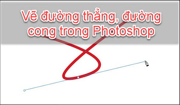 Hướng dẫn cắt hình tròn trong Photoshop chi tiết nhất