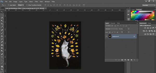 Hướng dẫn cắt hình tròn trong Photoshop chi tiết nhất