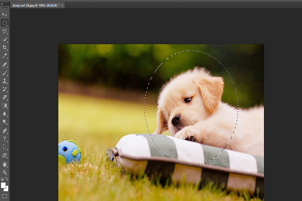 huong-dan-cat-hinh-tron-trong-photoshop-chi-tiet-nhat