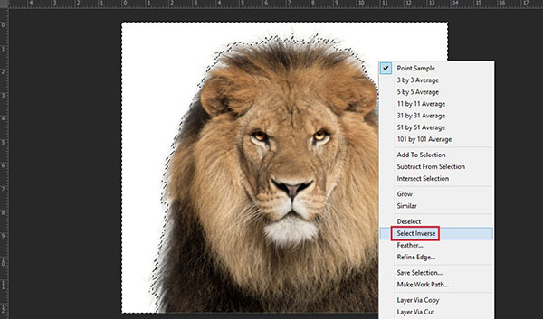 Cách làm mờ phông nền bằng Photoshop CS6 đơn giản nhất