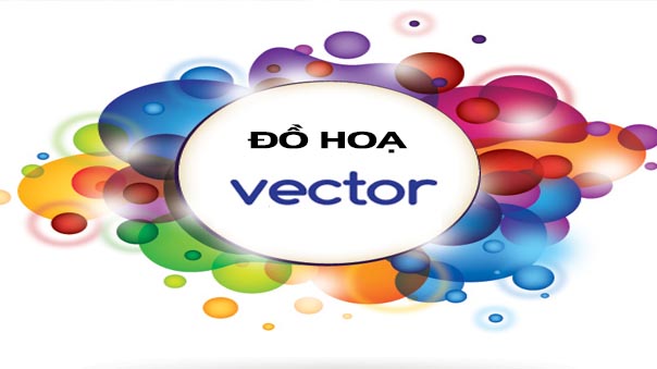 Đồ họa Vector là gì? Đặc trưng cơ bản của ảnh Vector