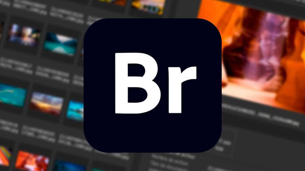 Adobe Bridge