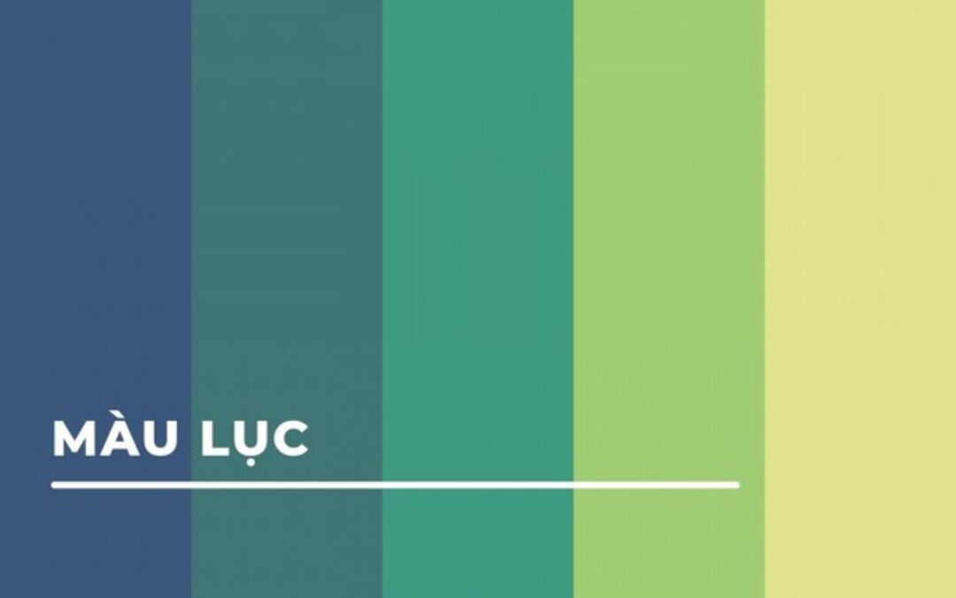 Màu xanh lục cơ bản - Tìm hiểu: Trong bảng màu cơ bản, màu xanh lục được xem là sự kết hợp giữa màu xanh lá cây và màu xanh dương. Màu sắc này mang lại sự tự nhiên và tươi mới cho bất cứ không gian nào. Hãy tìm hiểu thêm về những ứng dụng của màu xanh lục trong thiết kế và trang trí nội thất.