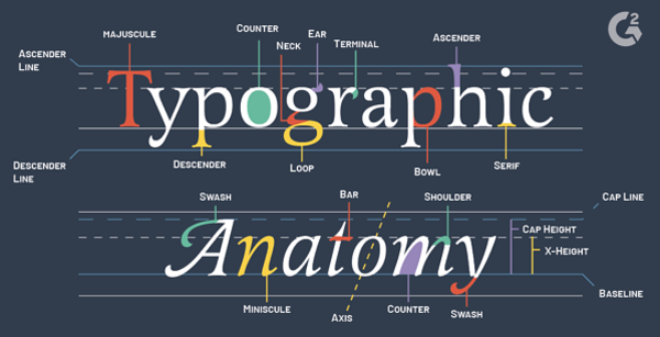 Mẹo về Typography trong thiết kế Web cực đơn giản, hiệu quả