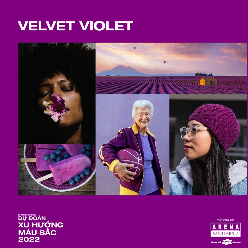 Velvet Violet 
