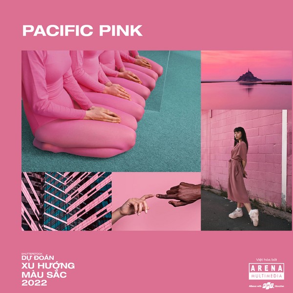 Pacific Pink 
