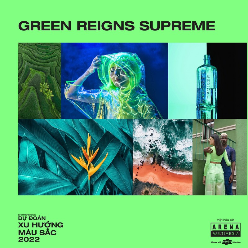 Green reigns supreme