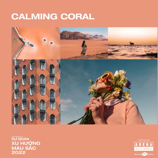 Calming Coral 