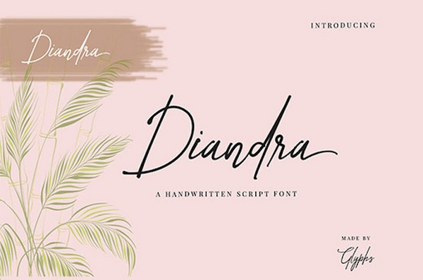 Font chữ Diandra mang đường nét tự nhiên và đơn giản 