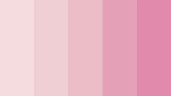 Những màu hồng Pastel theo cấp độ đậm dần