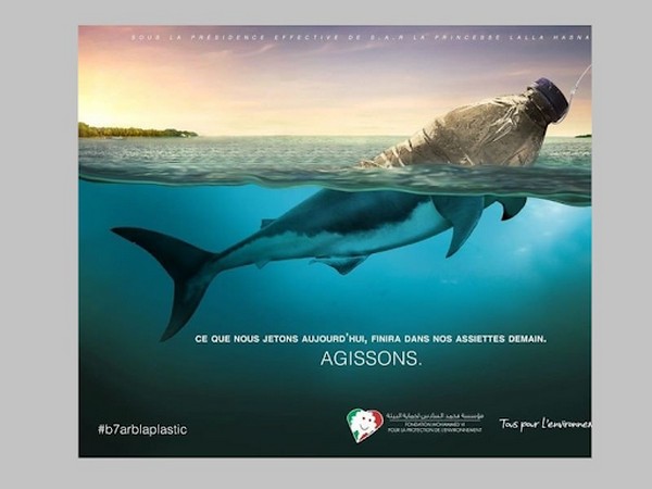 Phối màu hợp lý trong việc thiết kế poster bảo vệ môi trường biển