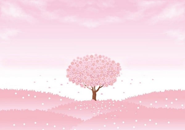 Background với màu hồng phấn