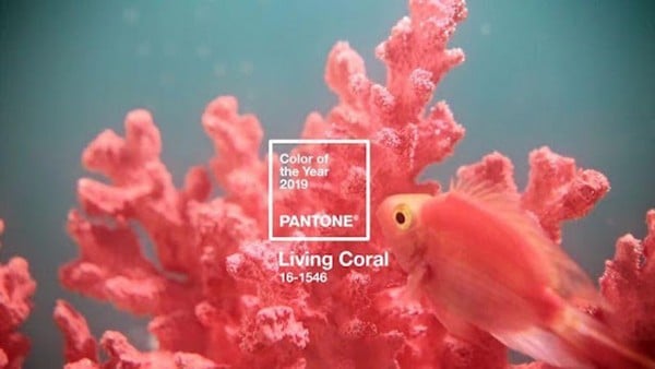 Living Coral 16-1546 - Màu san hô 