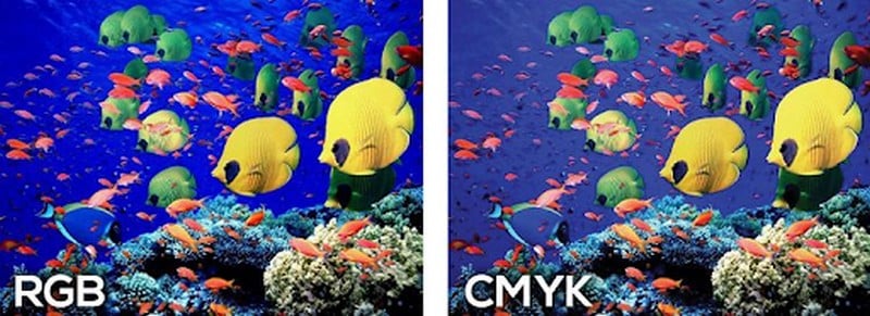 So CMYK thì RGB cho hình ảnh chân thực và sống động hơn