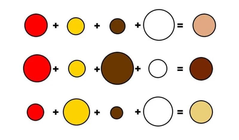 Một số ví dụ về cách phối màu để tạo ra màu da người.