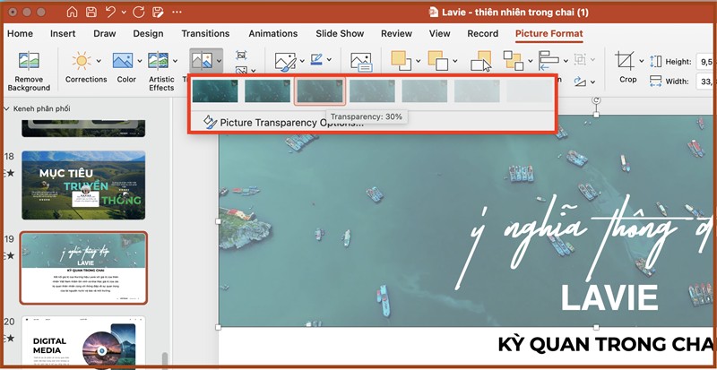 Cách điều chỉnh mức độ mờ ảnh trong PowerPoint