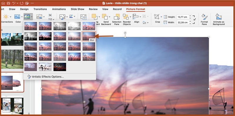 Cách làm mờ nền ảnh trong Powerpoint