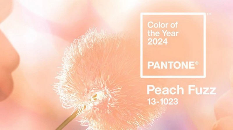 Peach Fuzz - Hồng Cam Đào là tông màu ý nghĩa ẩn chứa thông điệp nhân văn
