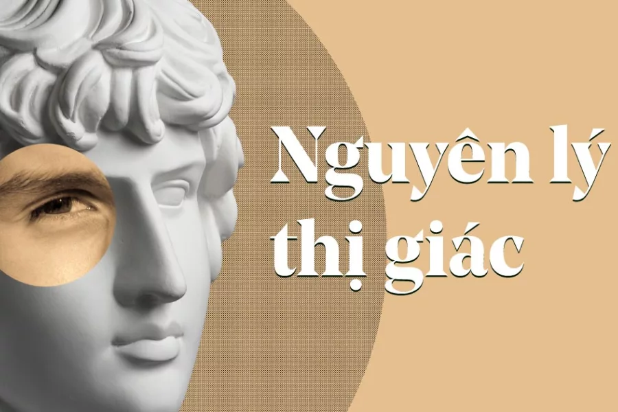 Graphic Design là gì? Học gì tại FPT Arena để trở thành nhà thiết kế chuyên nghiệp? 1 Môn học đầu tiên và nền tảng trong thiết kế chính là tìm hiểu các nguyên lý thị giác.