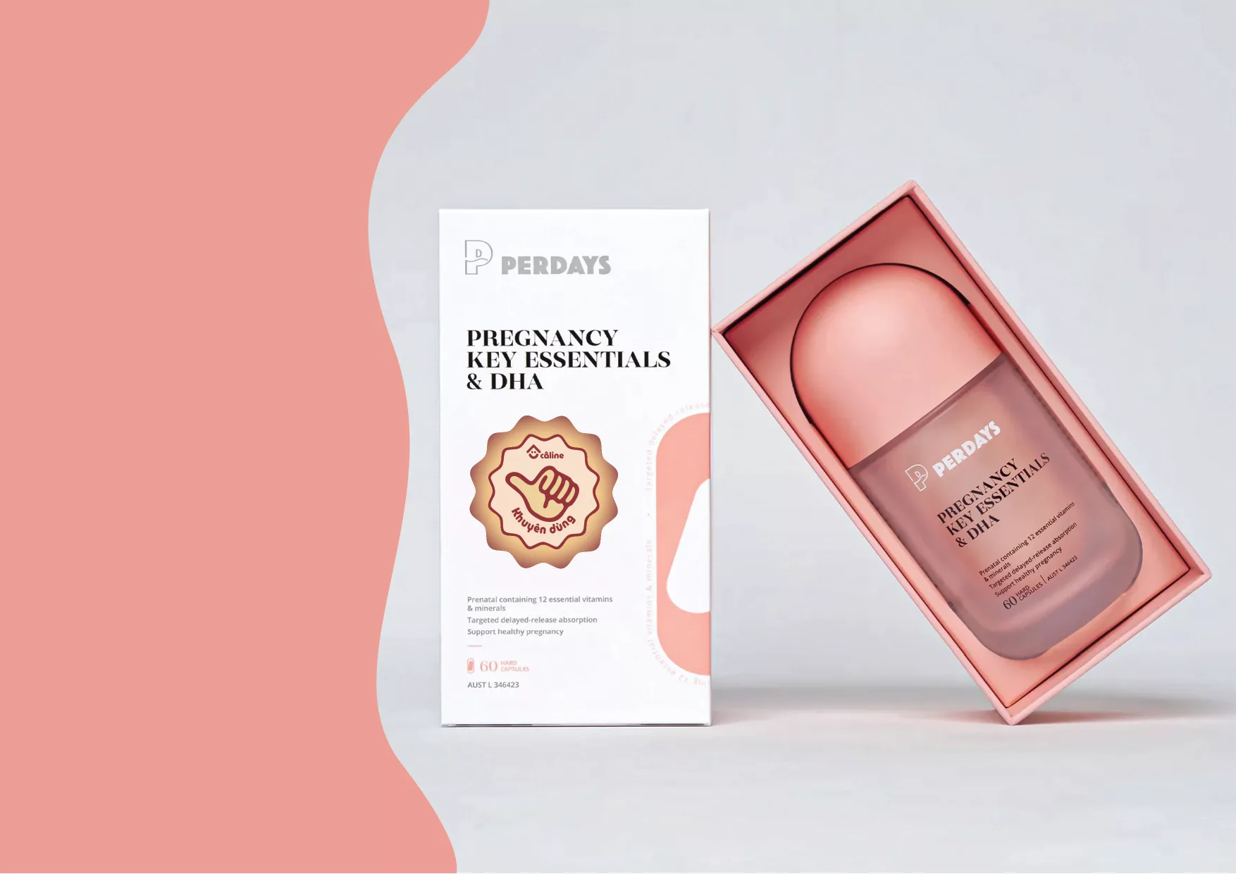Câline - Bộ nhận diện thương hiệu được dệt từ yêu thương và kỷ niệm 8 Caline PFL 44