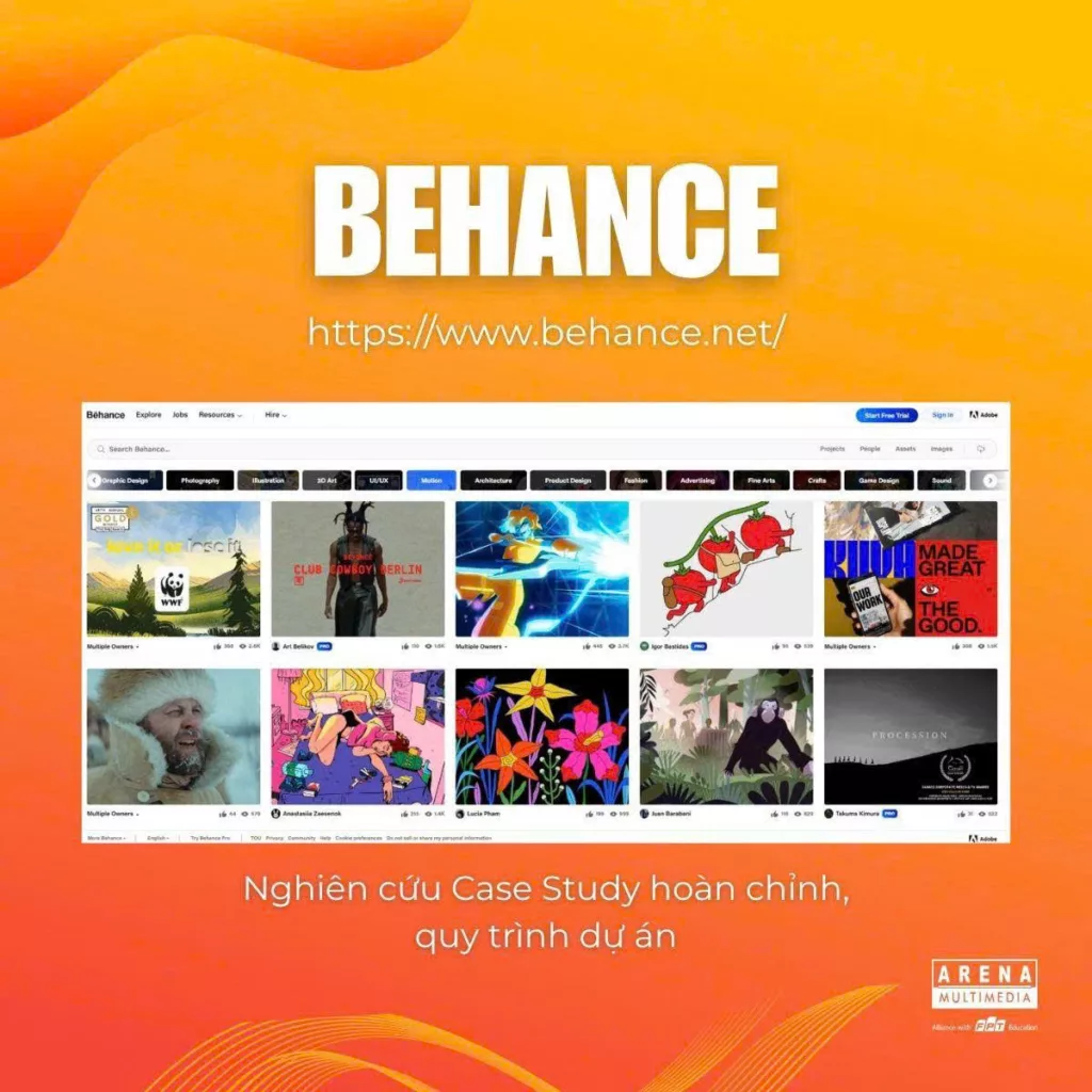 website vang nang tam motion graphic 2