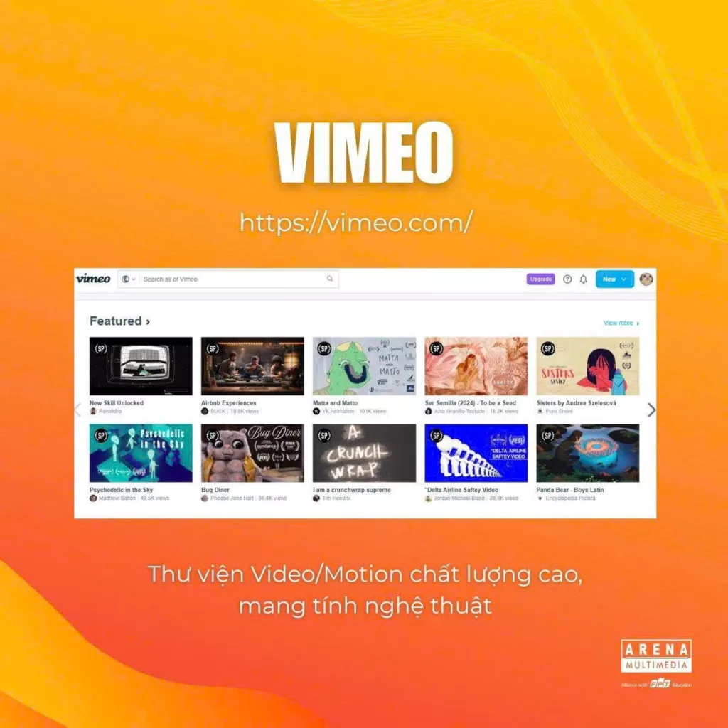 website vang nang tam motion graphic 4