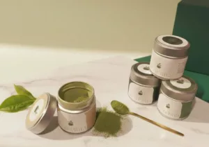 portforlio SEM1 A2508M ─ae├u n├⌐n h├¼nh s║unh 93