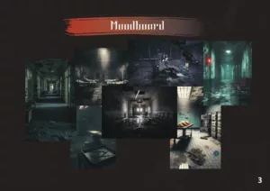 Bs║un sao cs╗oa Portfolio Trs║Nn Ys╗am The Veil h├¼nh s║unh 2