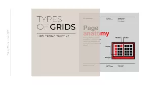 Types of Grids h├¼nh s║unh 0