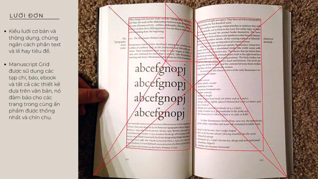 Types of Grids h├¼nh s║unh 2