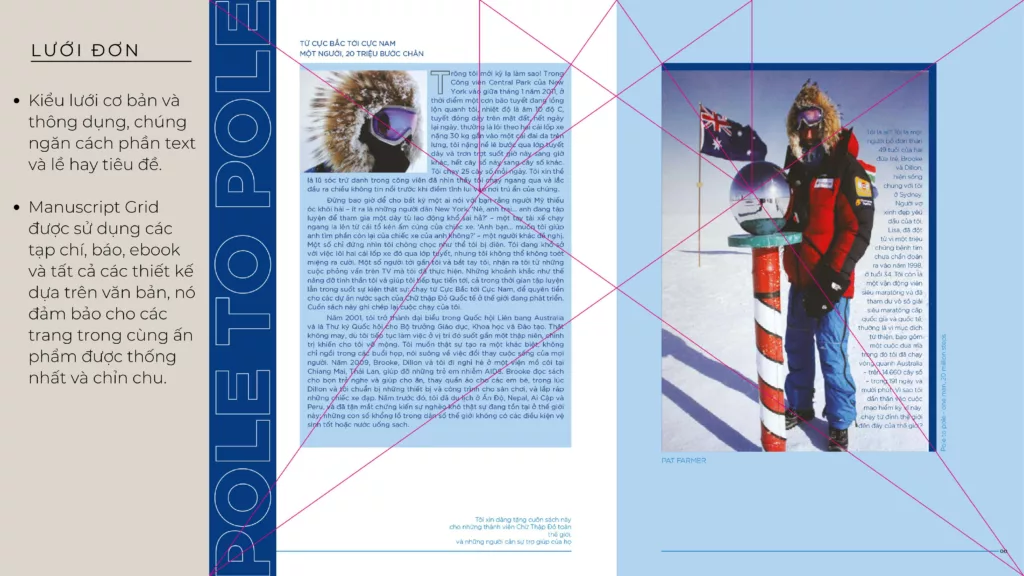 Types of Grids h├¼nh s║unh 3